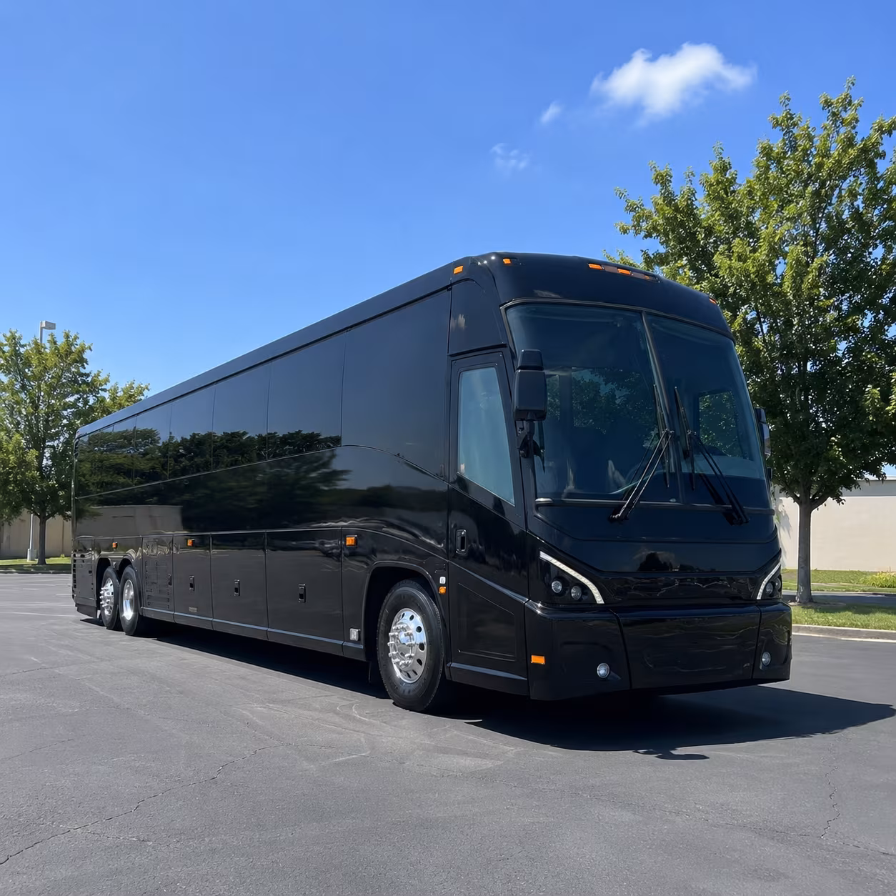 clearwater book a charter bus for your clearwater wedding