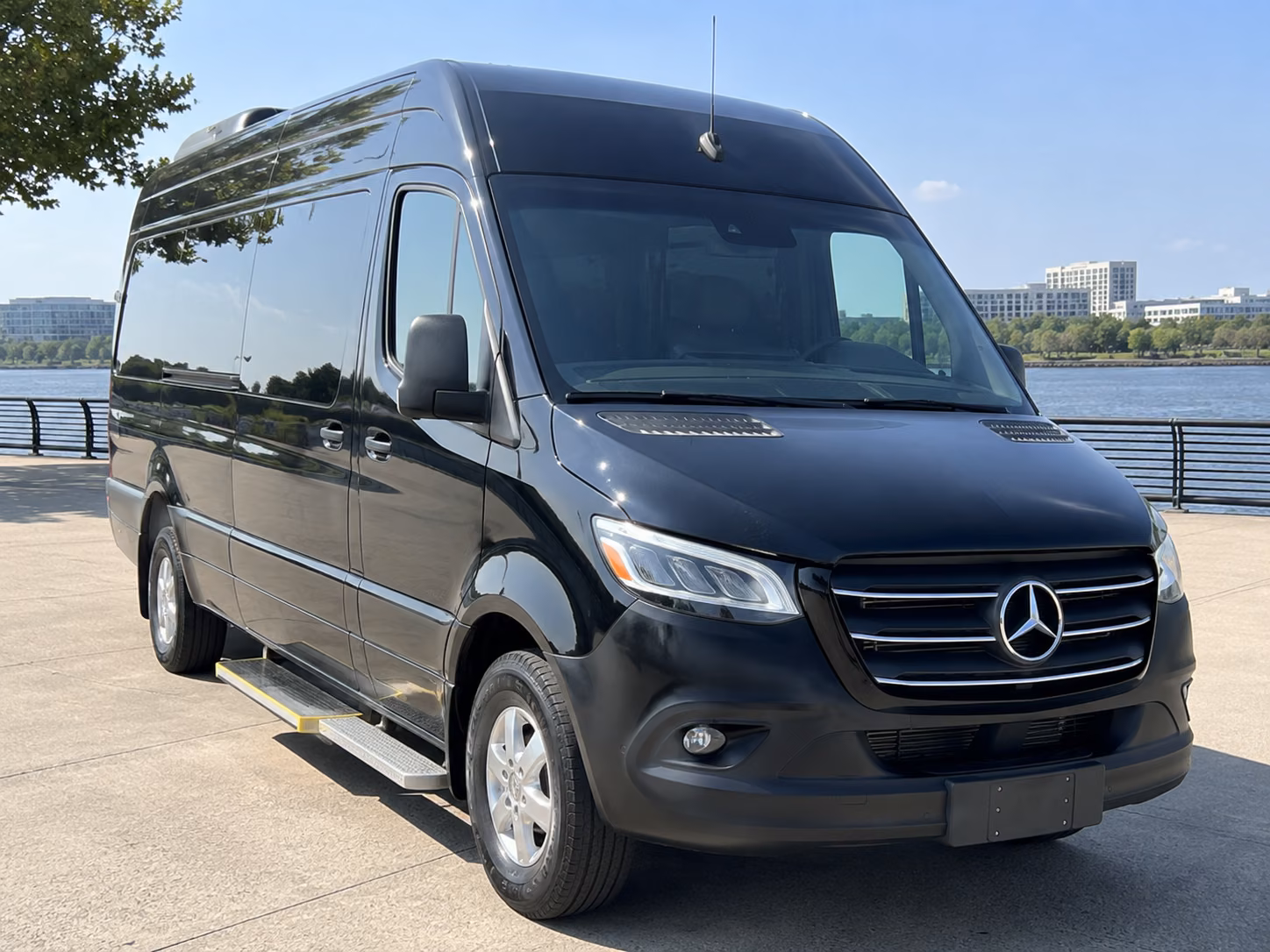downtown dunedin