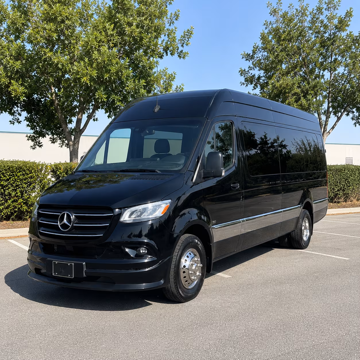 lakeland youth sports team and fan group bus rentals in lakeland