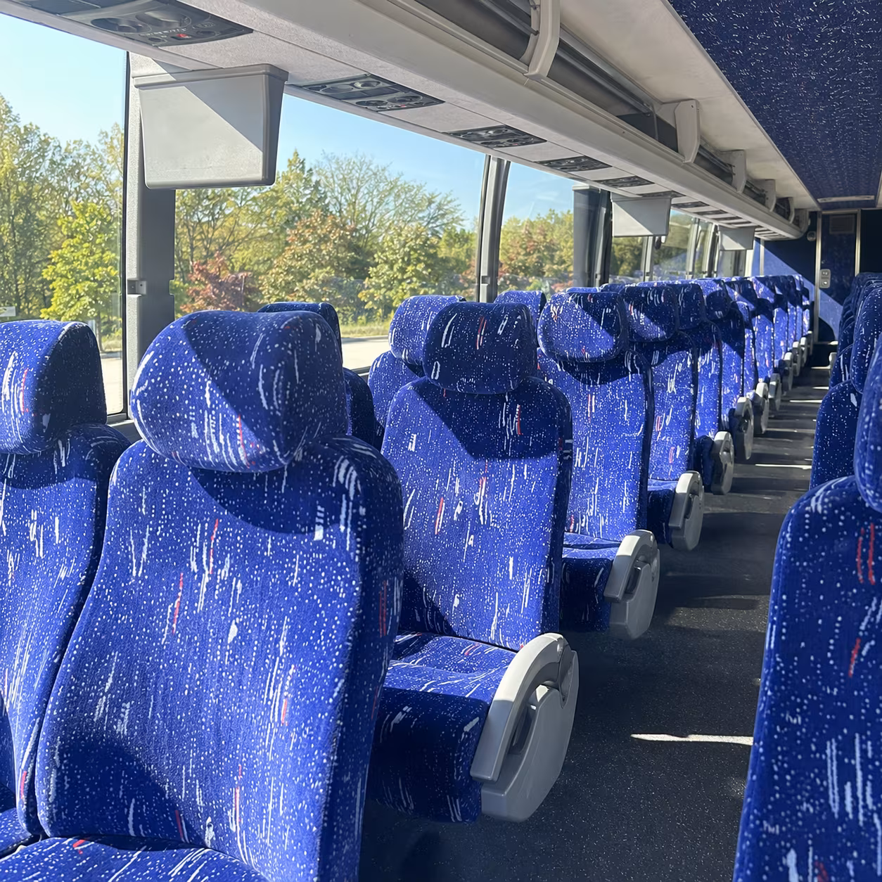 palm harbor charter bus