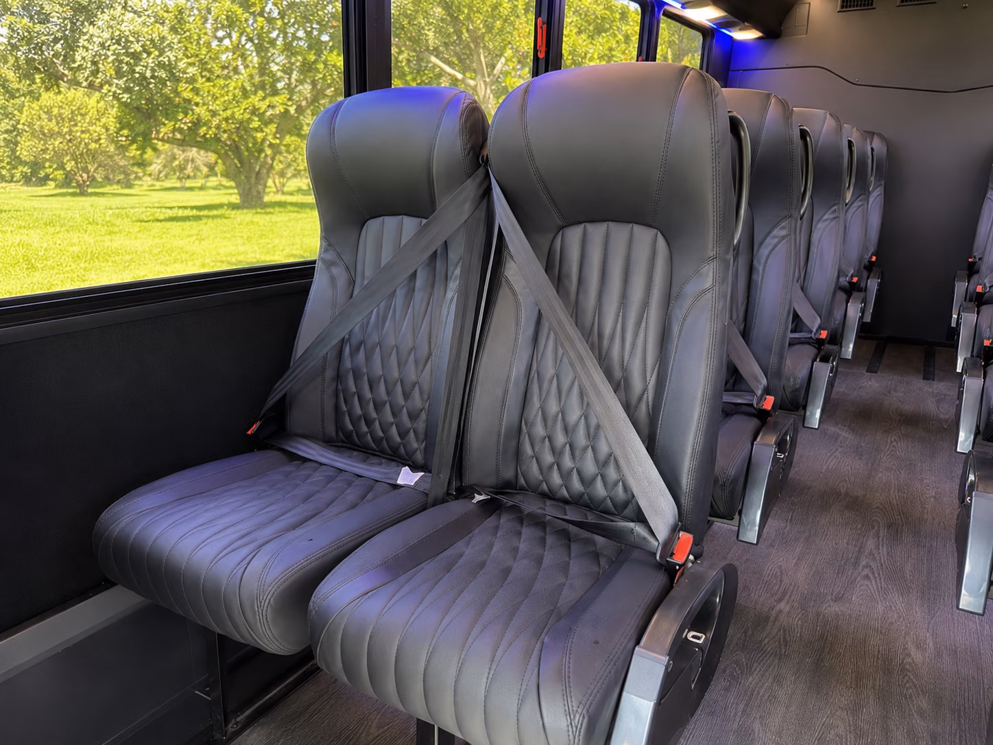 palm harbor efficient corporate bus rentals in palm harbor