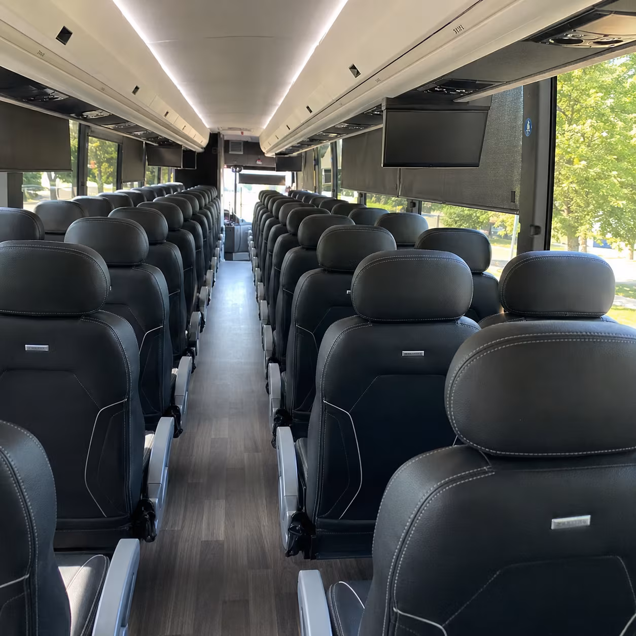 palm harbor professional palm harbor school field trip charter bus rentals