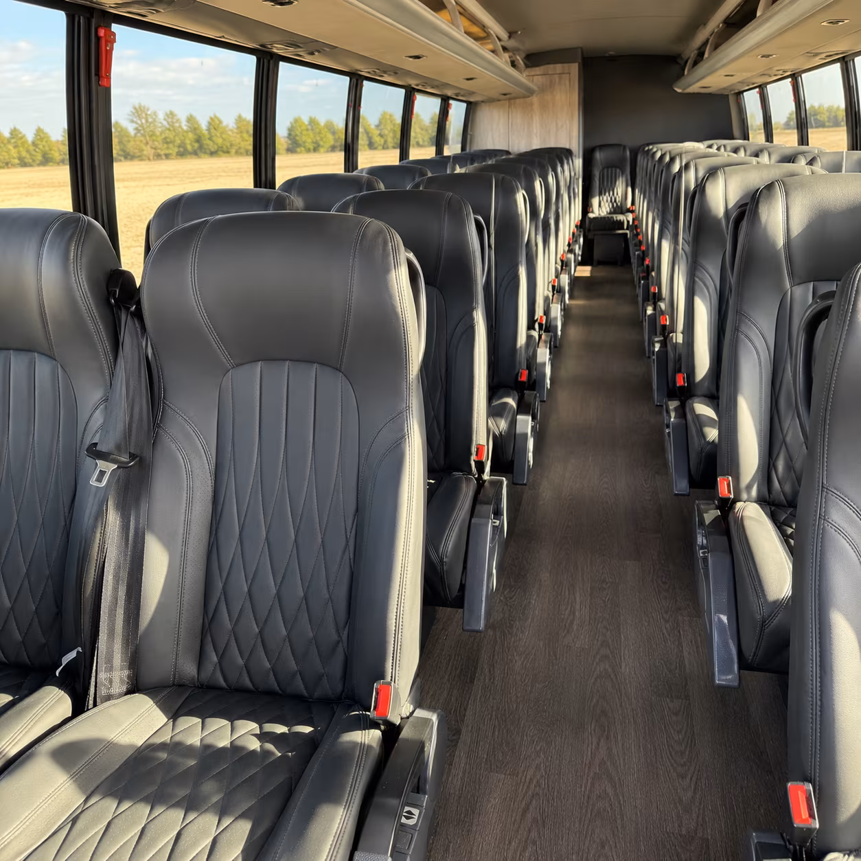 palm harbor sporting event bus rentals made simple