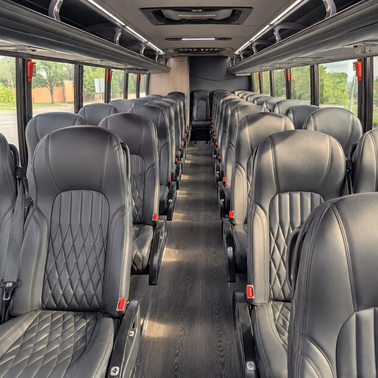 palm harbor streamlined wedding transportation in palm harbor