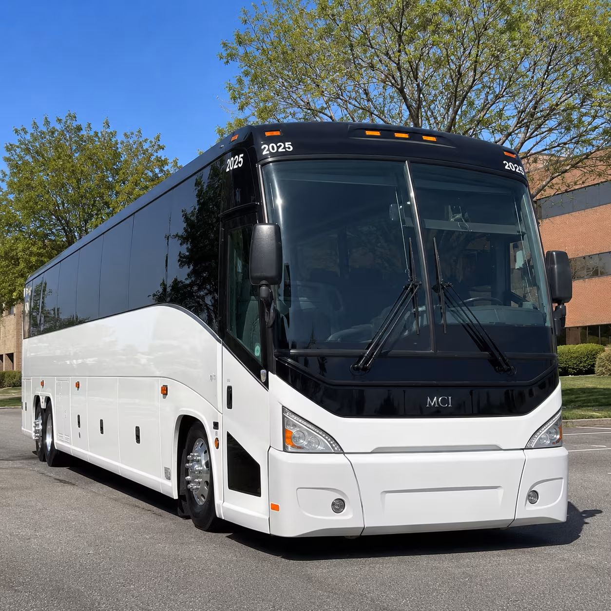 tarpon springs sporting event bus rentals made simple