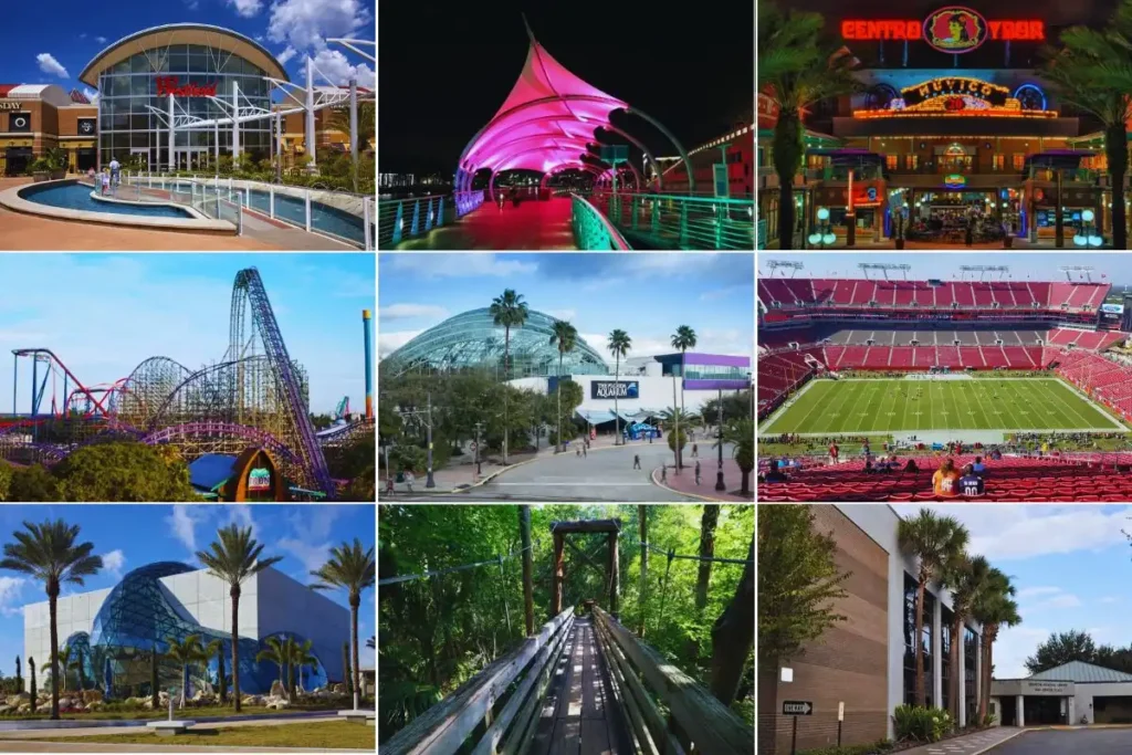 Must-See Spots in Brandon & Tampa with Our Charter Buses