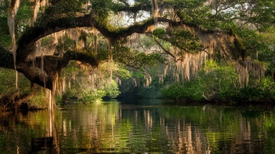 largo central park nature preserve