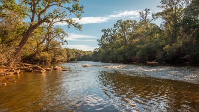 myakka river state park