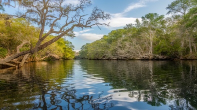 weeki wachee springs state park